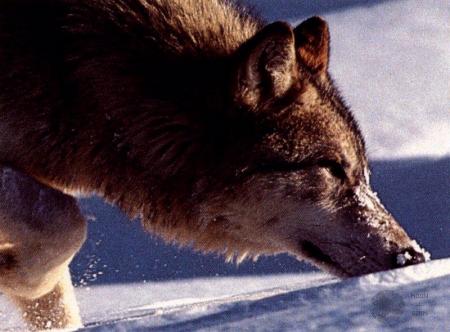 Je suis sur une piste !!!