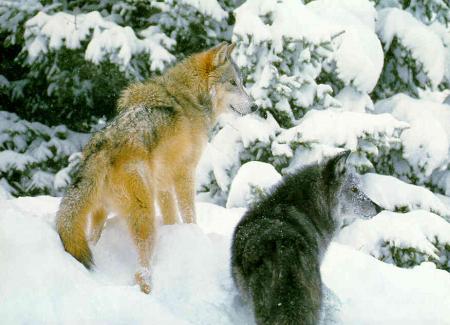 Synchronisation r�ussi !!!
